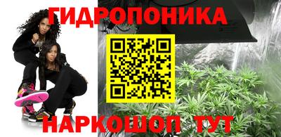 трава Будённовск