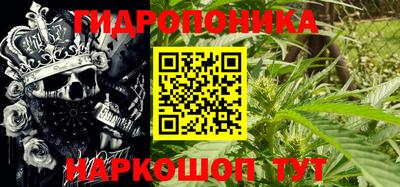 эйфоретик Бугуруслан