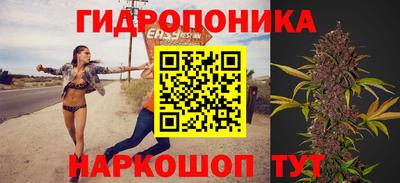 трава Будённовск