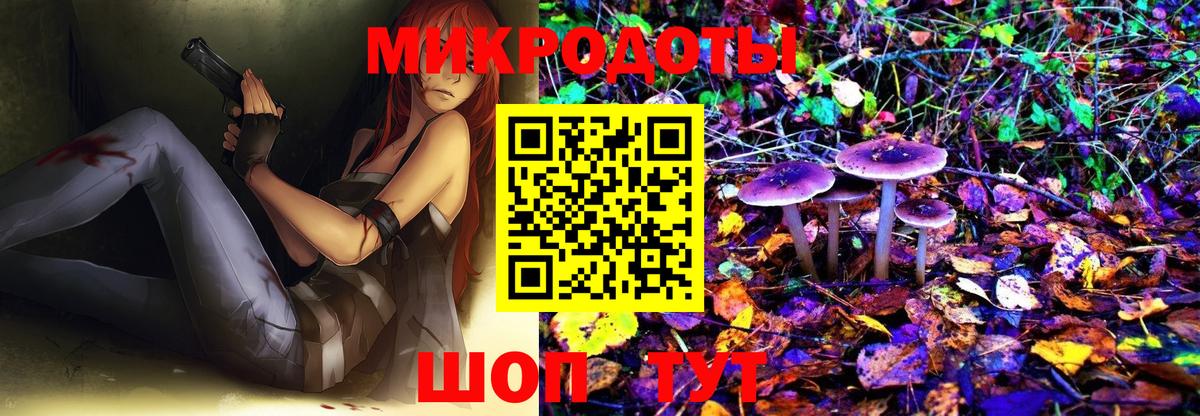 Галлюциногенные грибы Cubensis Краснодар